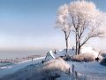 ahrenshoop winter1 