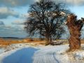 ahrenshoop winter2 