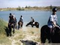 reiten1 